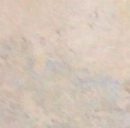 IMG00065-20100704-1221.jpg